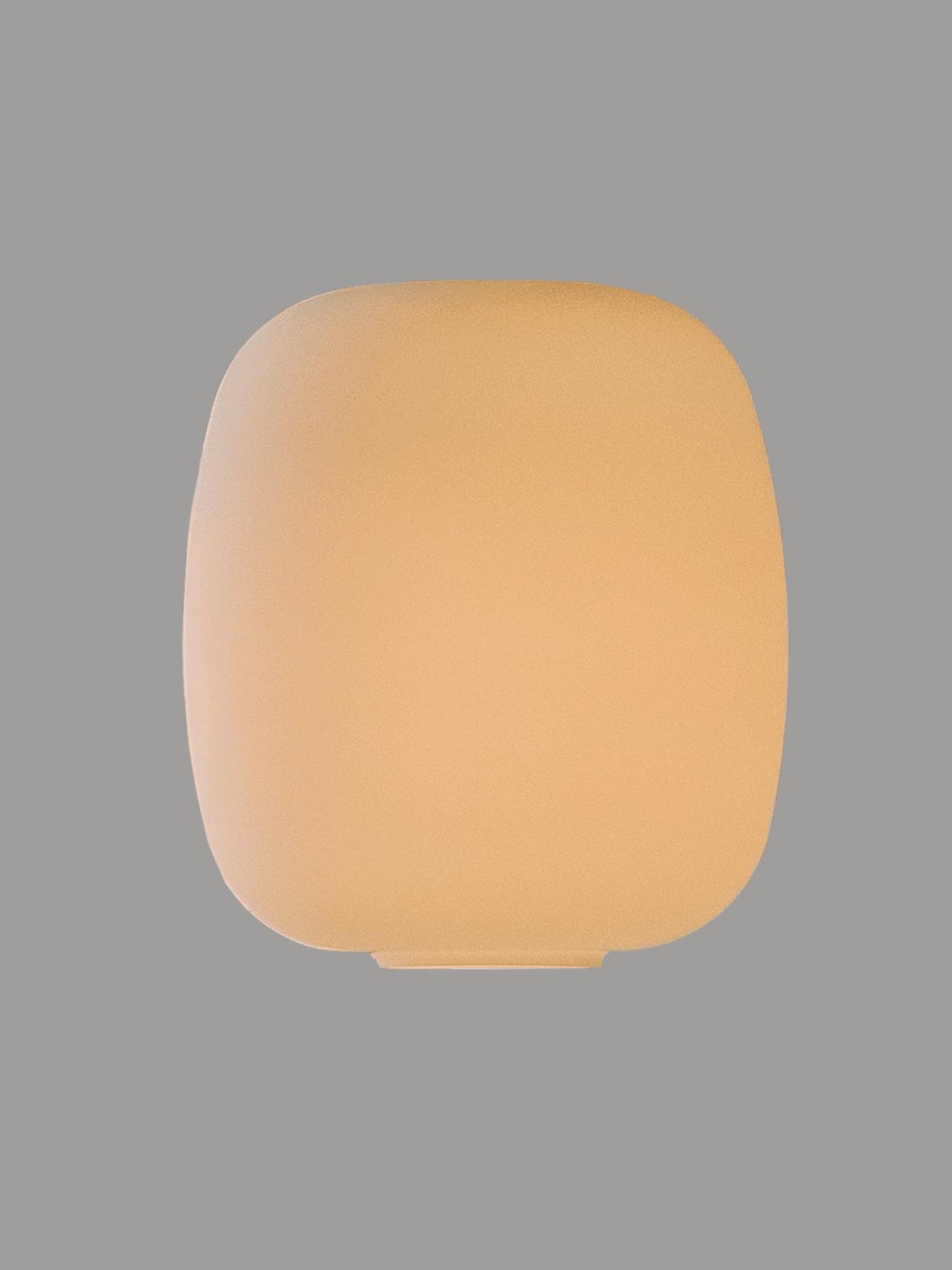 DIFUSOR_LAMPARA_CESTA__GLOBO_6CES01-O1-O1-O1-O1-O1-O1-O4.jpg