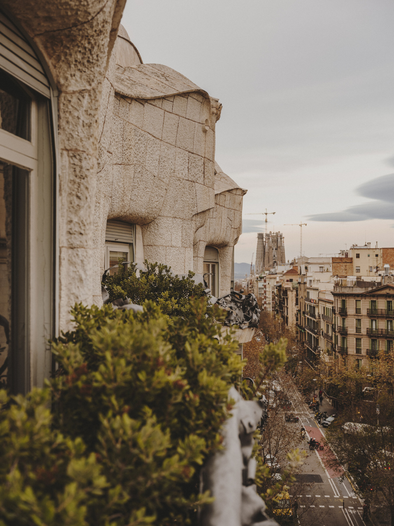Pedrera-SalvaLopez-2019-DSCF8965-x2400