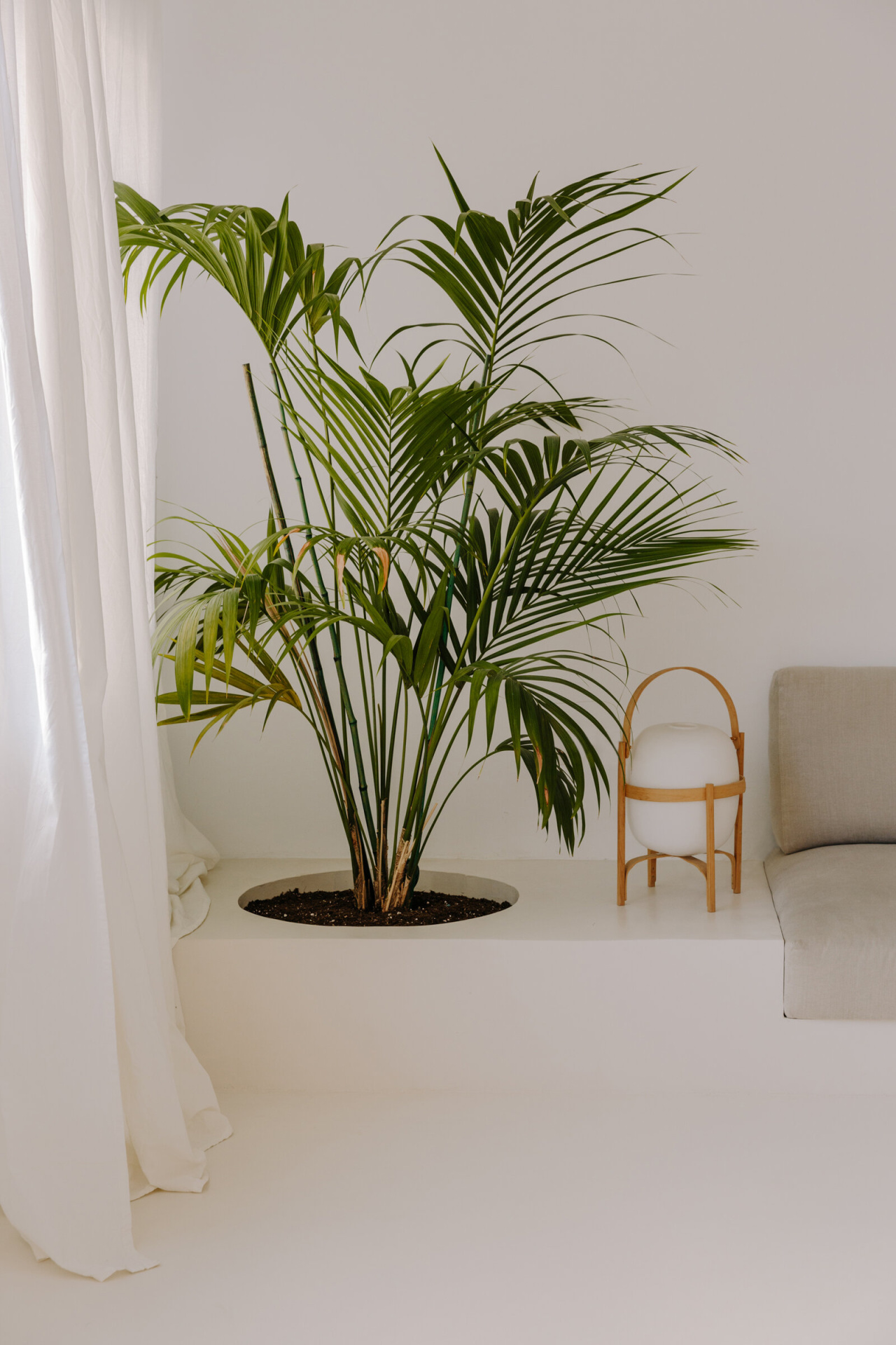 Casa-Isern-Serra-Marina-Desinova-Cesta-2021-x2400