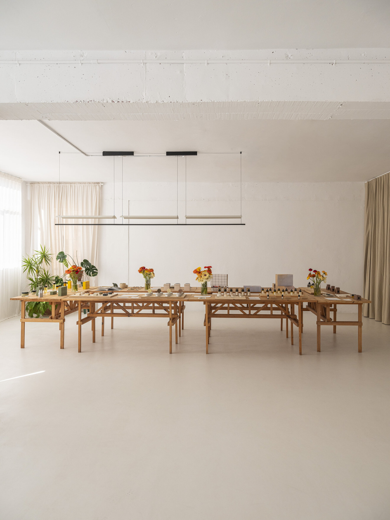 -DSF1913-copia-x2400