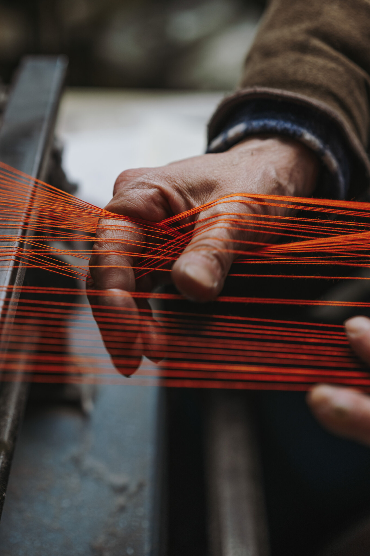 Cintas-Vistiendo-la-luz-Yosigo-23-2022-x2400