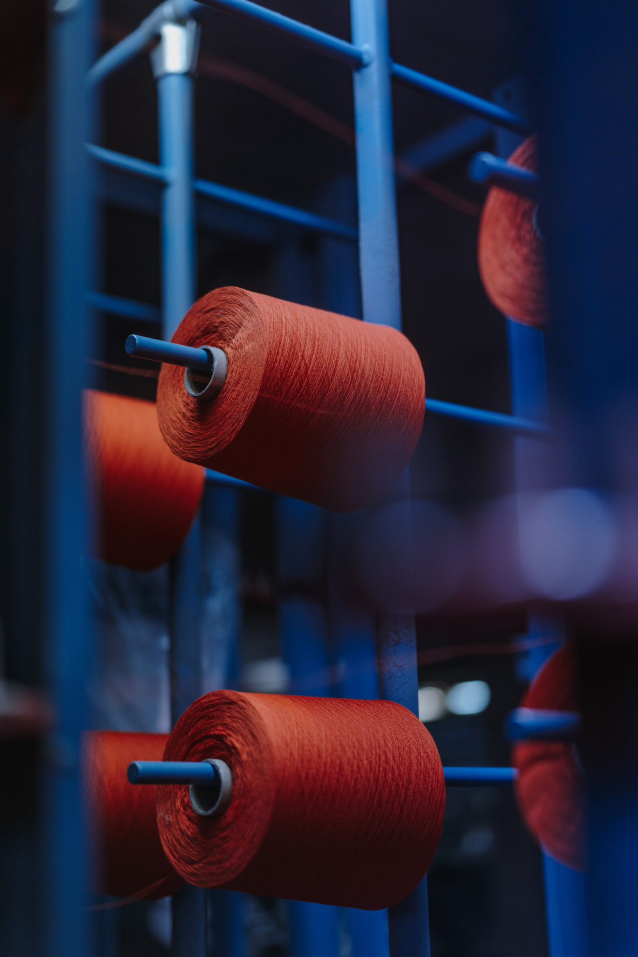 Cintas-Vistiendo-la-luz-Yosigo-29-2022-x2400