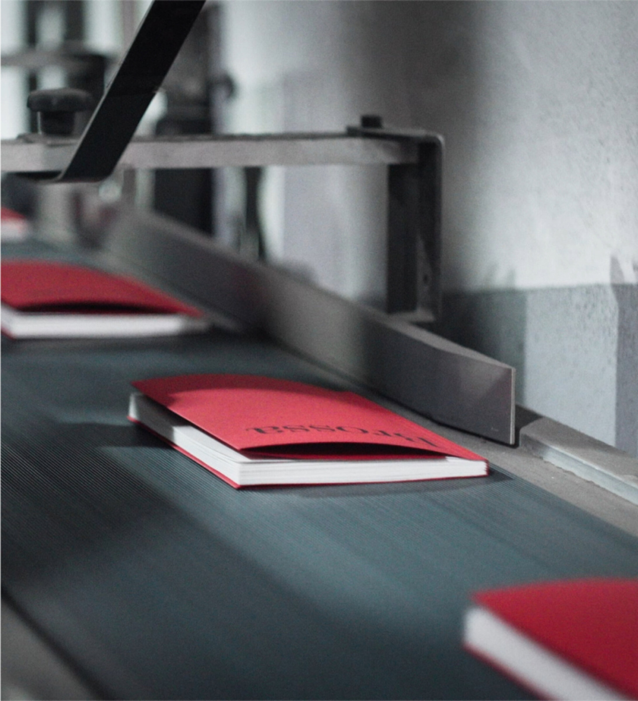 perdigones-imagen-portada-historia-x2400