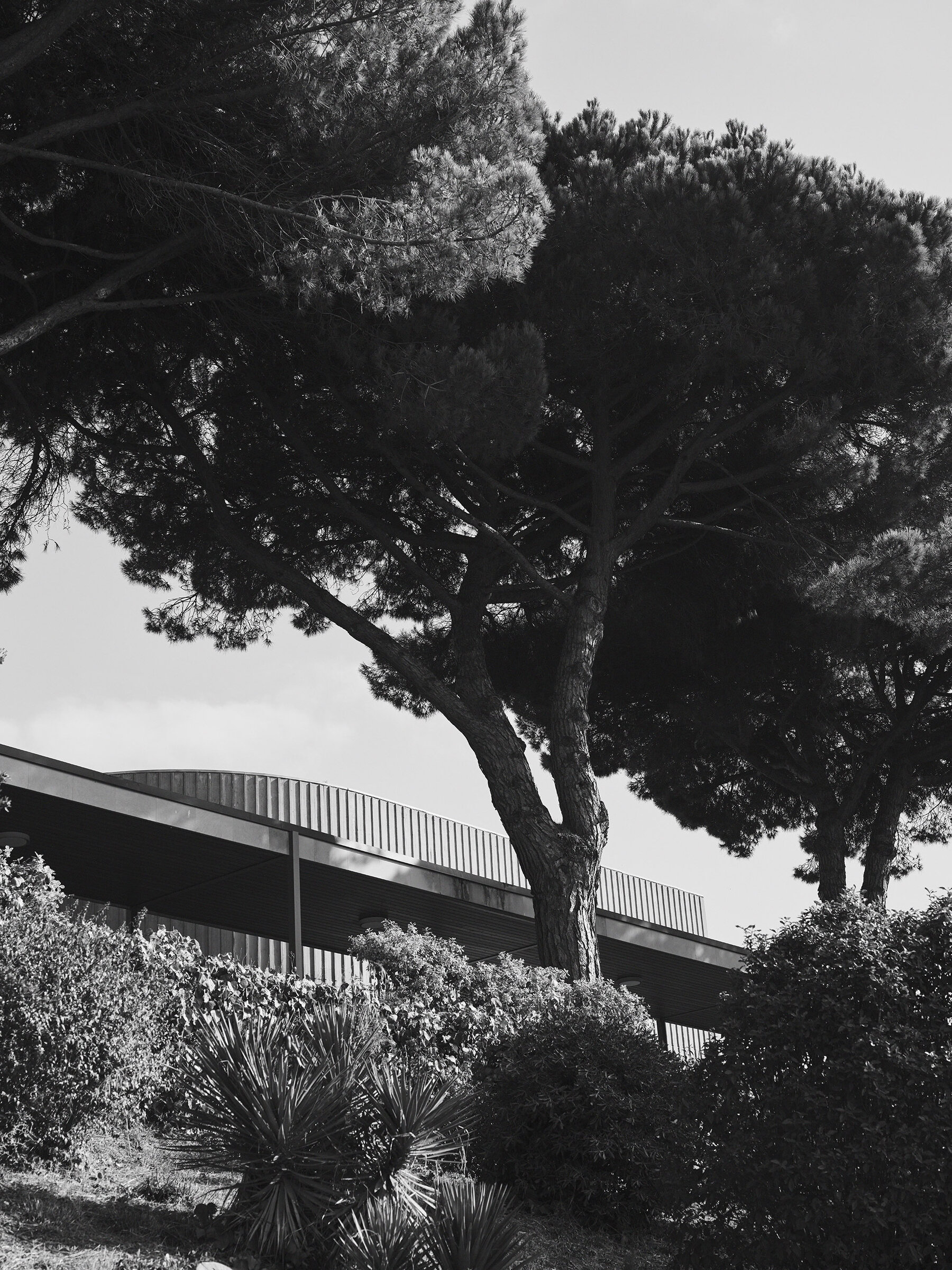 Belloch-Mariano-Herrera-SantaCole-2022-06-BW-x2400