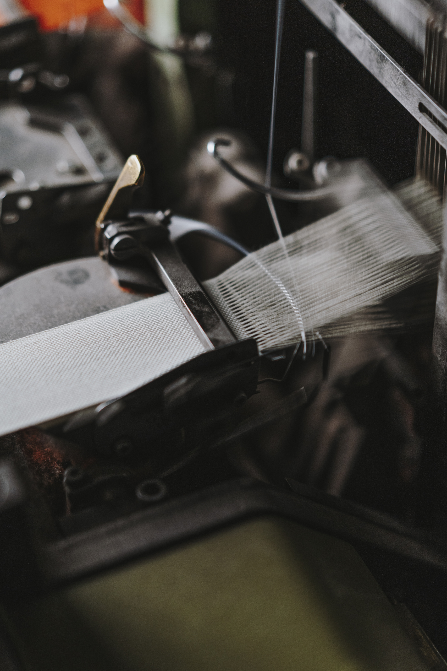 Dressing-the-light-Santa-Cole-Yosigo-_-20222005