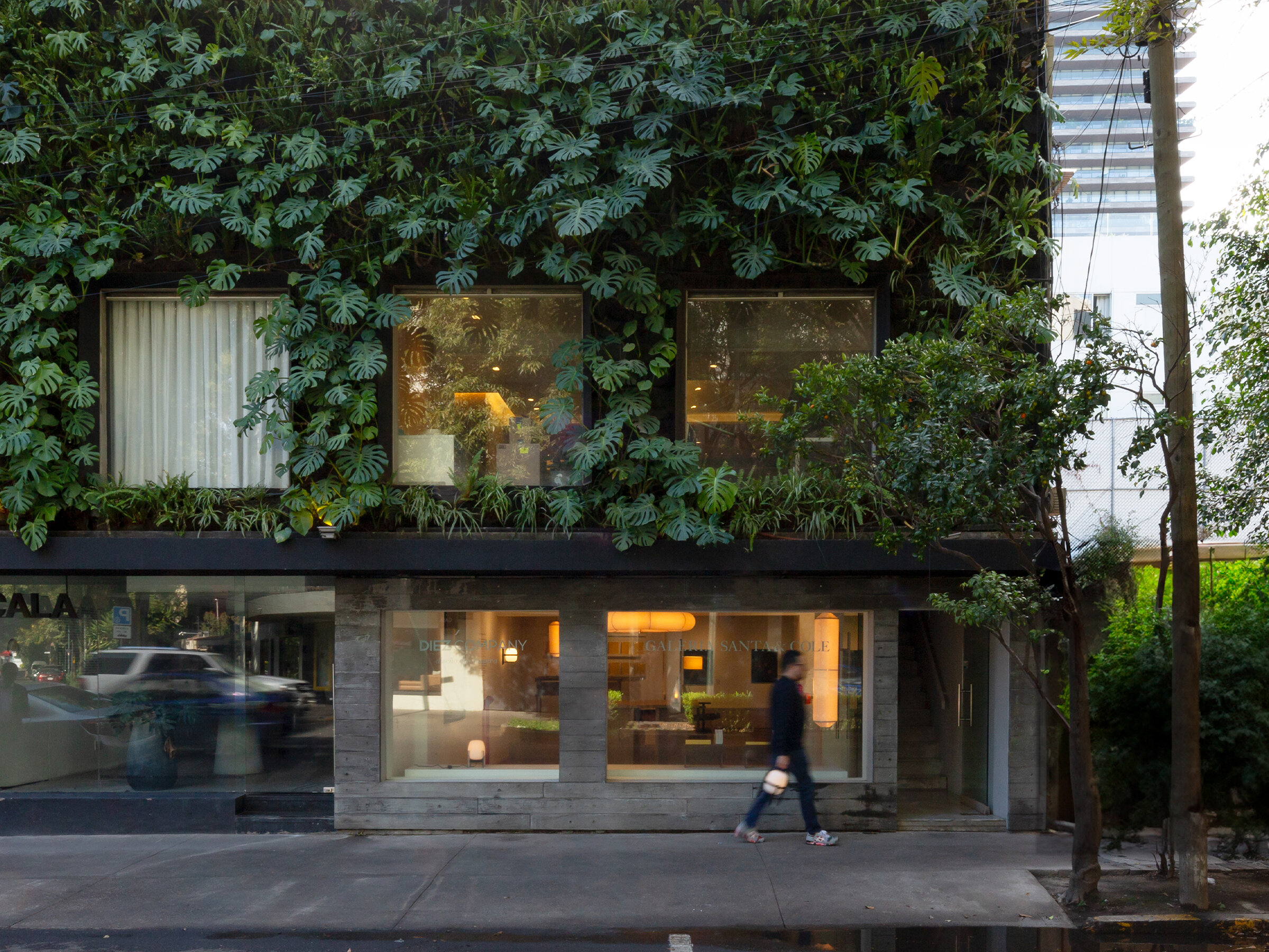 Mexico-Galeria-Santa-Cole-Apertura-Natalia-Tamarasco-2023-03-x2400