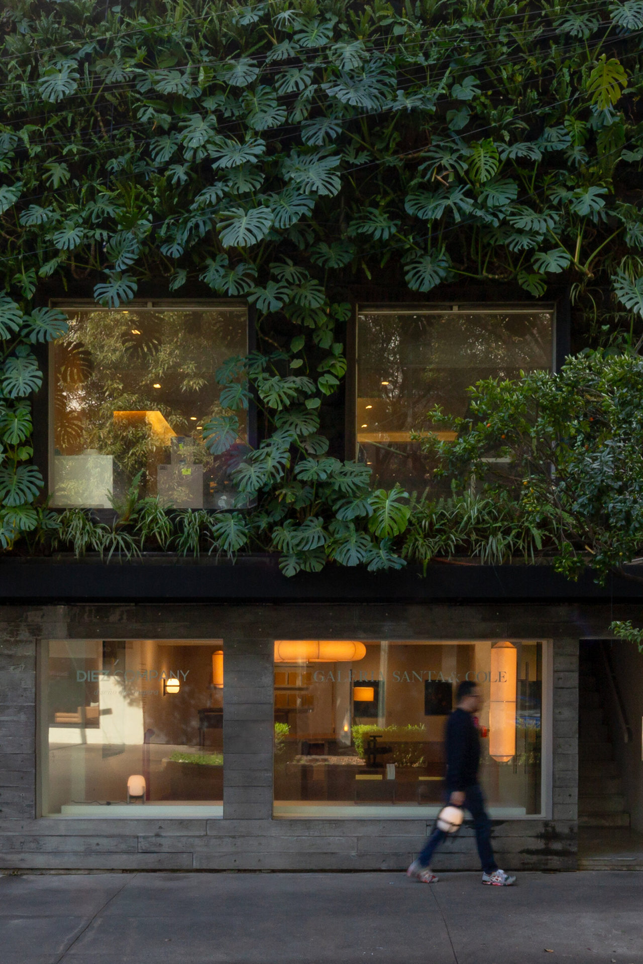 Mexico-Galeria-Santa-Cole-Apertura-Natalia-Tamarasco-2023-01-x2400