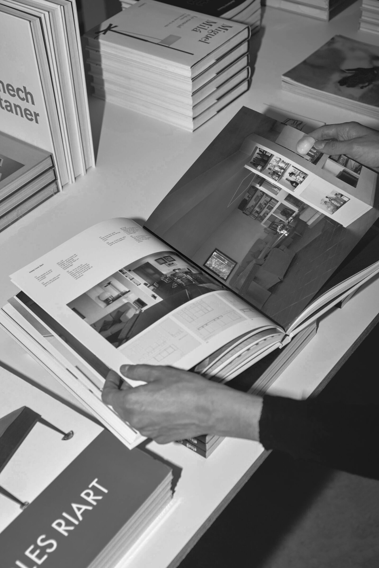 Santa-Cole-Galeria-Sant-Jordi-2025-Mariona-Calathea-03-x2400-2