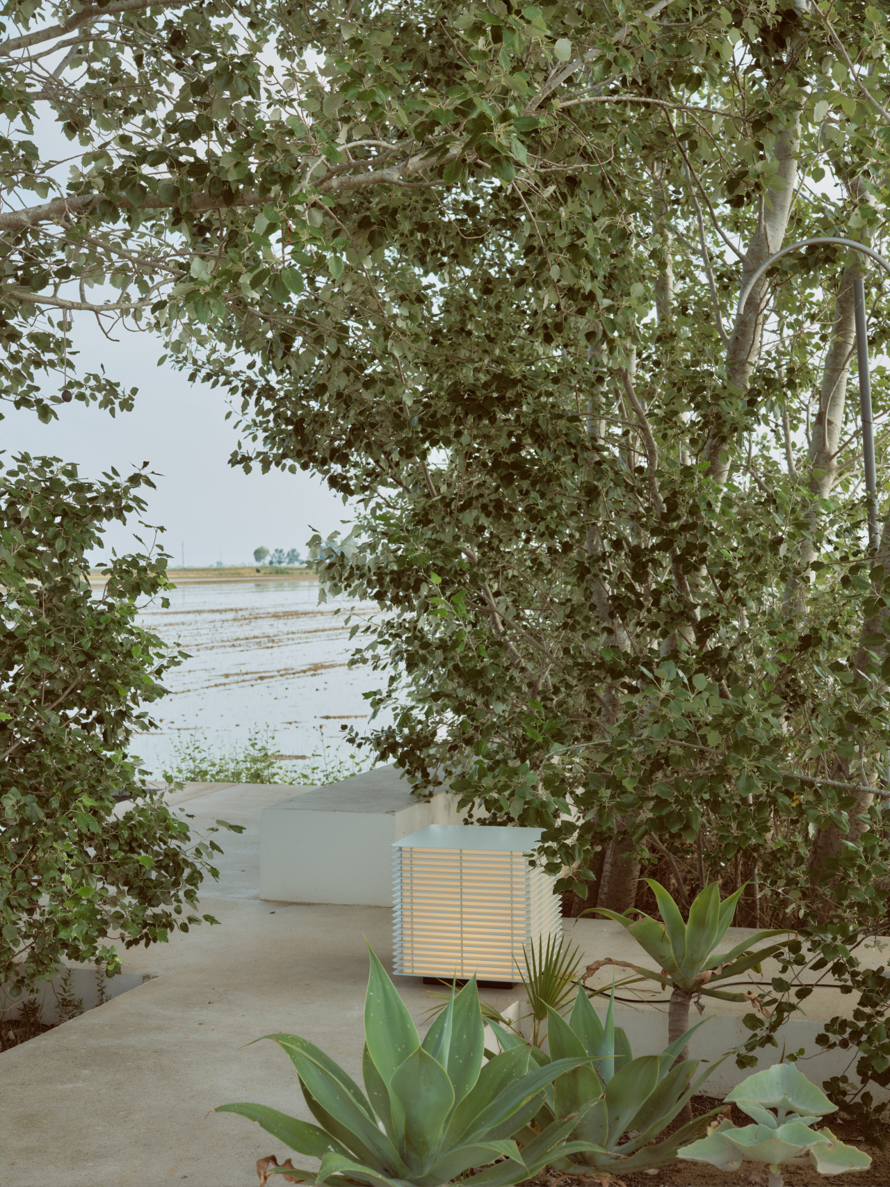 3c11709ee96b00d6a5e4537eff9c8973e999088f