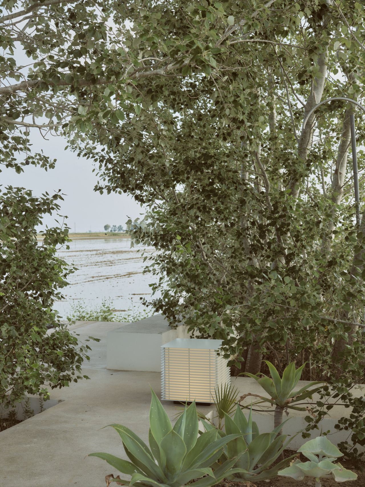 Shiro-exterior-ON-JaraVarela-Delta-SantaCole-2023-07-x2400