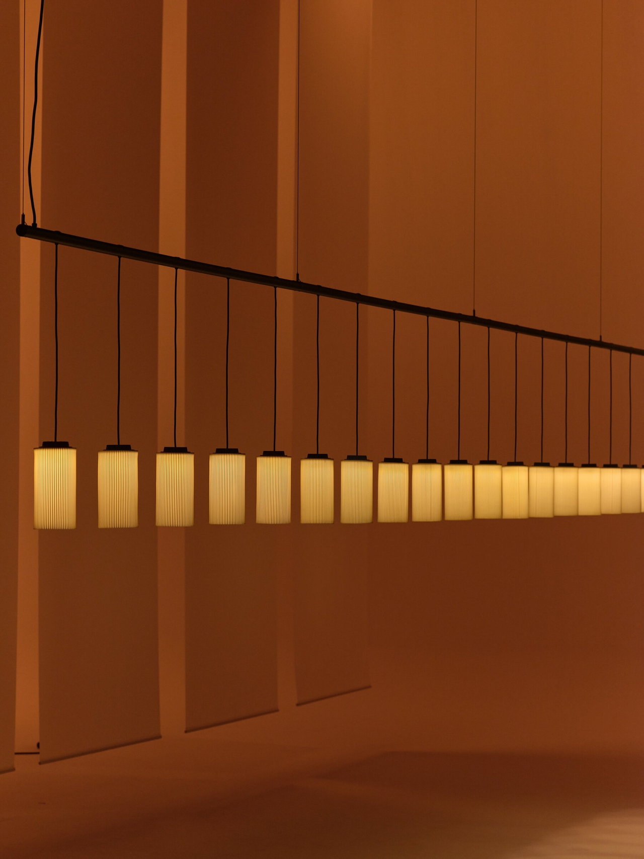 Cirio-Lineal-jaravarela-santacole-2025-0808-RET-x2400