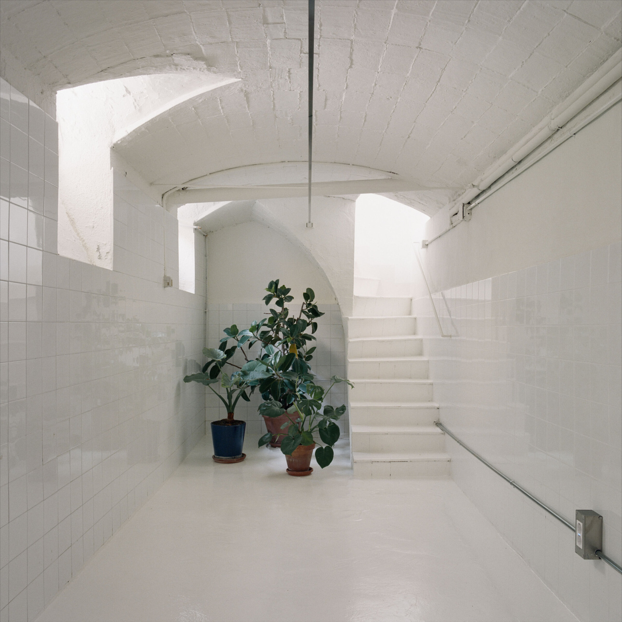 BDR-2025-ARAME-Lull-23-x2400