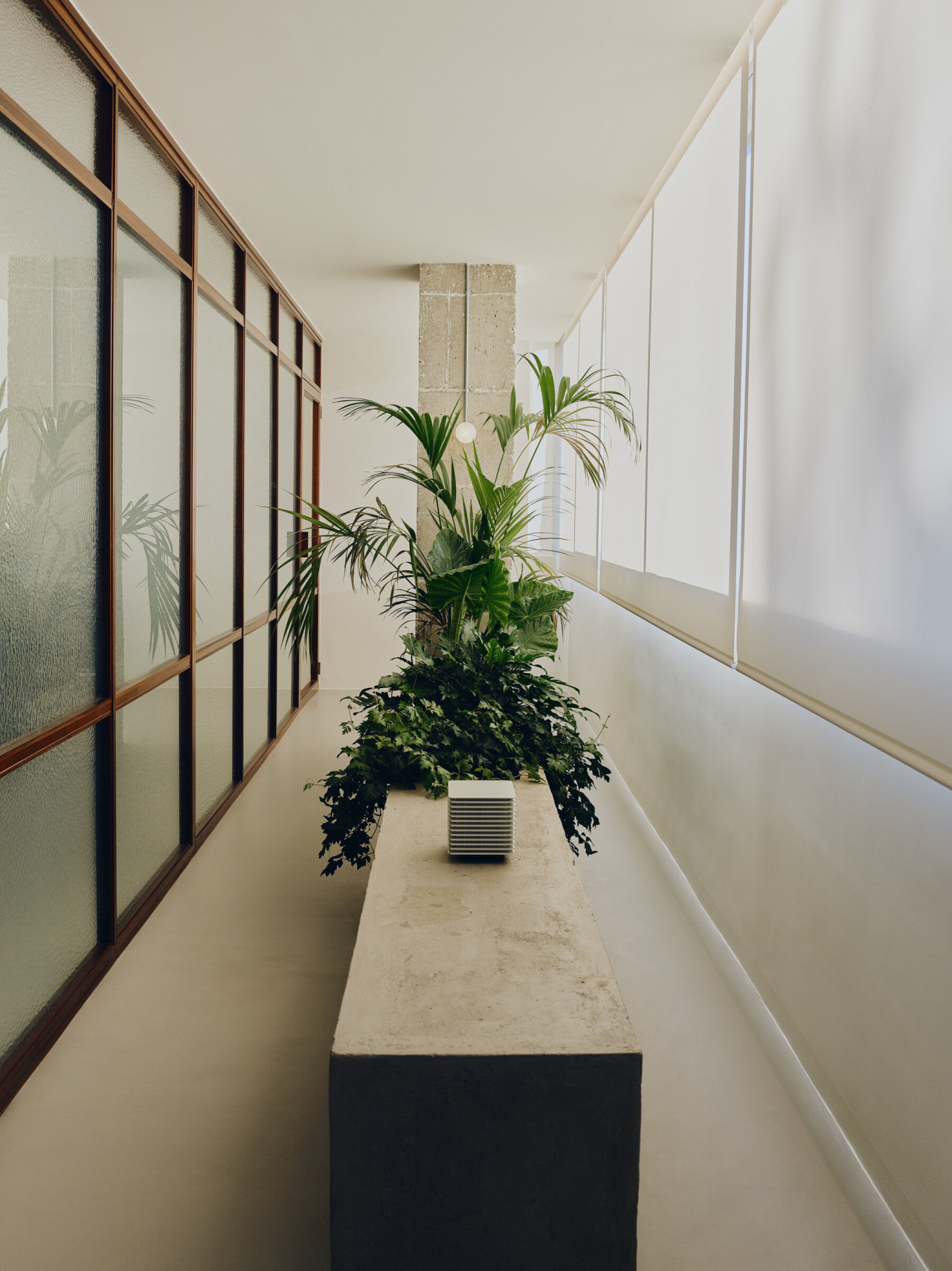 HEREU-Office-Fuera-Fos-2025-Pablo-de-Pastors-SHIRO-v1-x2400