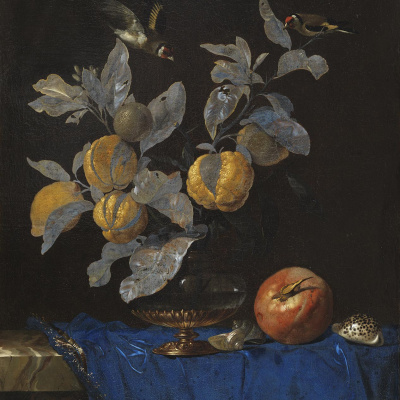 Still Life with Fruit by Santa & Cole
