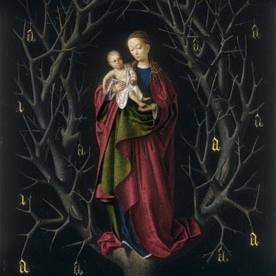 The Virgin of the Dry Tree by Santa & Cole
