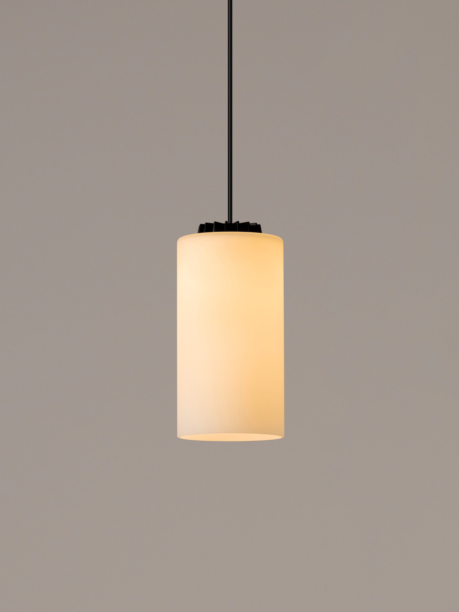 CIP05_Cirio-1.jpg