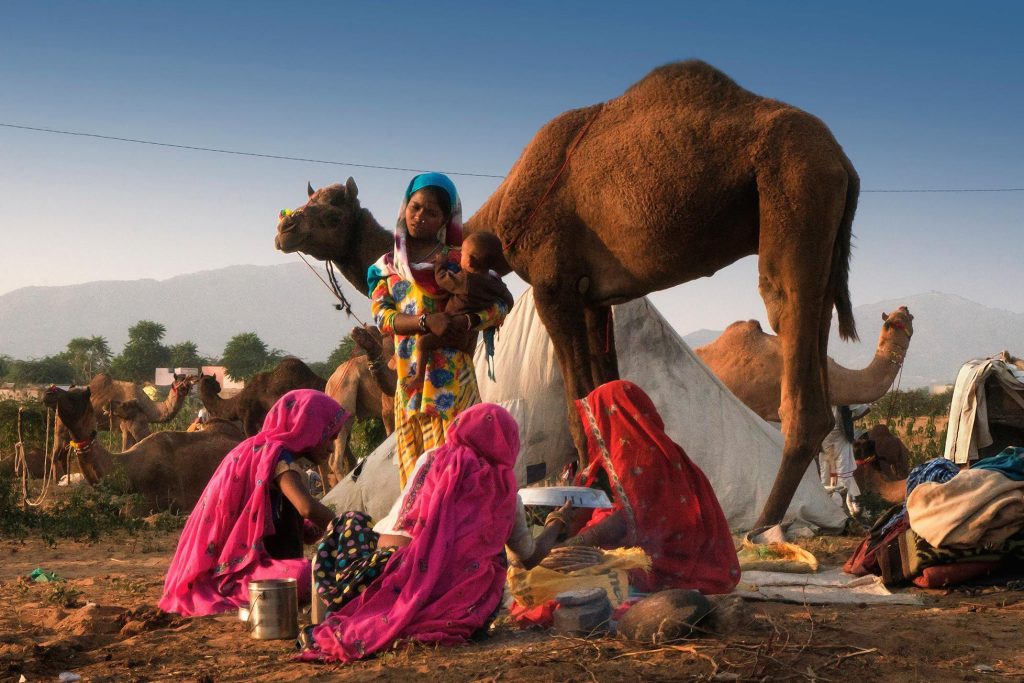 F-00152-Dalmau-40x60-26-Feria-de-Pushkar-1-1-1-1-1024x683