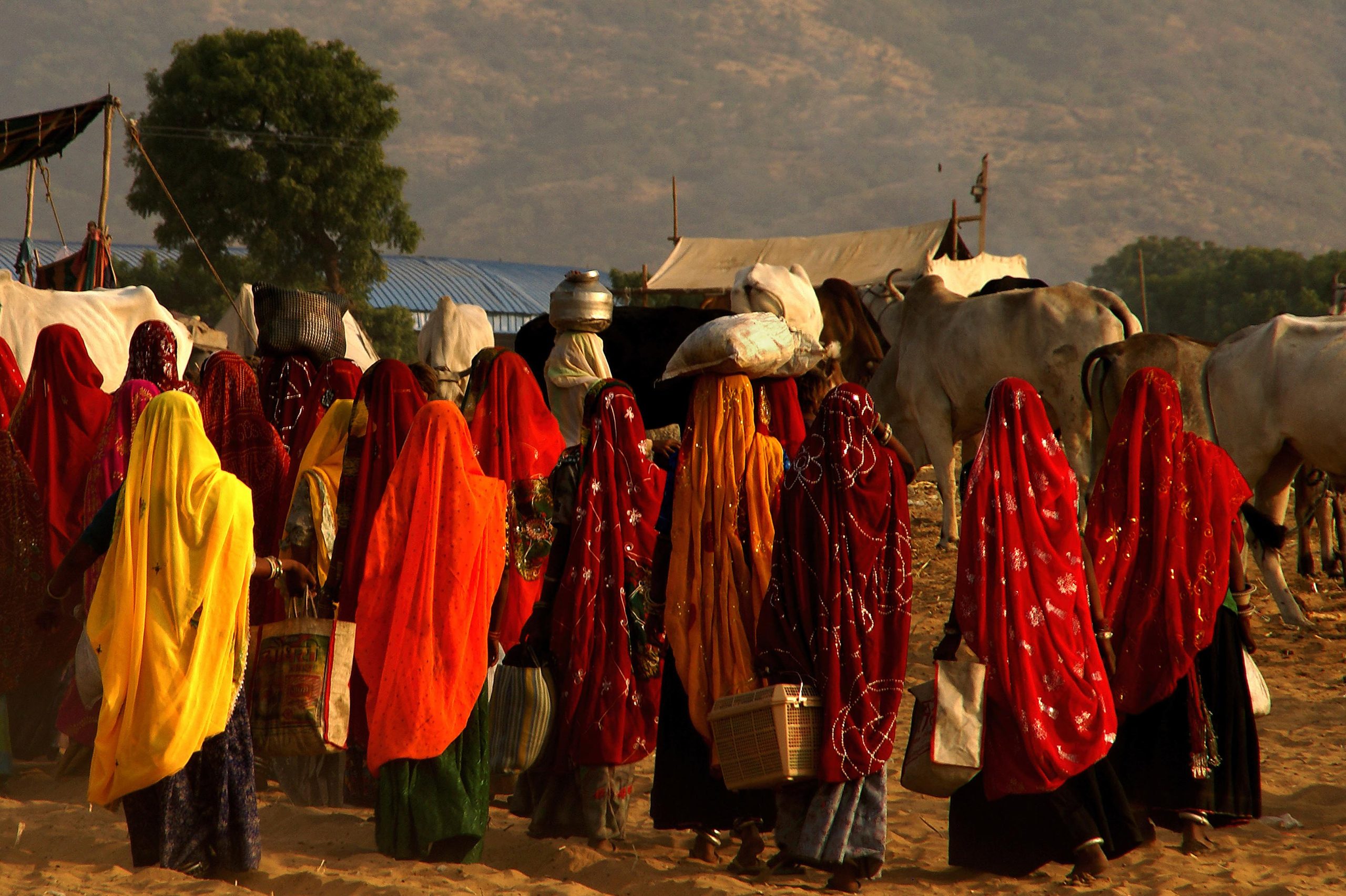 F-00155-Dalmau-40x60-34-Feria-de-Pushkar-1-1-1-scaled