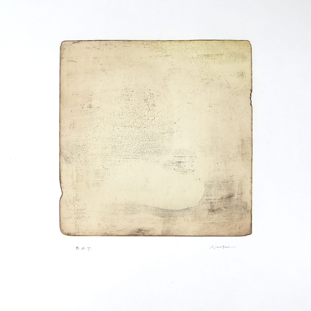 S-00204-Xiaobai-60x65cm-Intactness-A-poligrafa-1024x1024