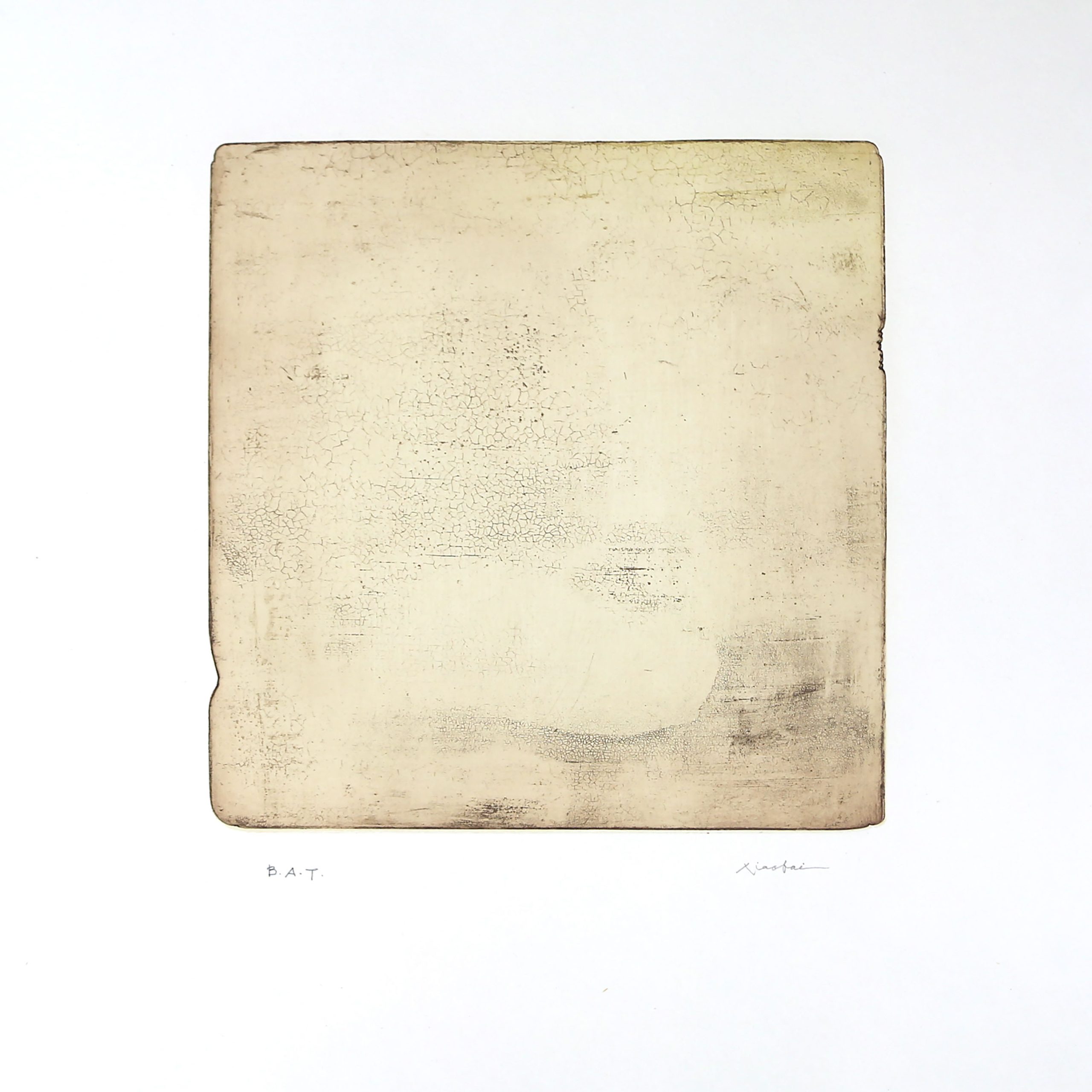 S-00204-Xiaobai-60x65cm-Intactness-A-poligrafa-scaled