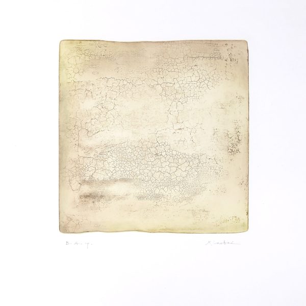 series-intactness-b-517-x1700-600x600