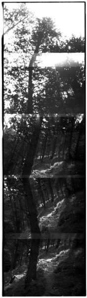 series-no-me-rindo-1235-x1700-176x600